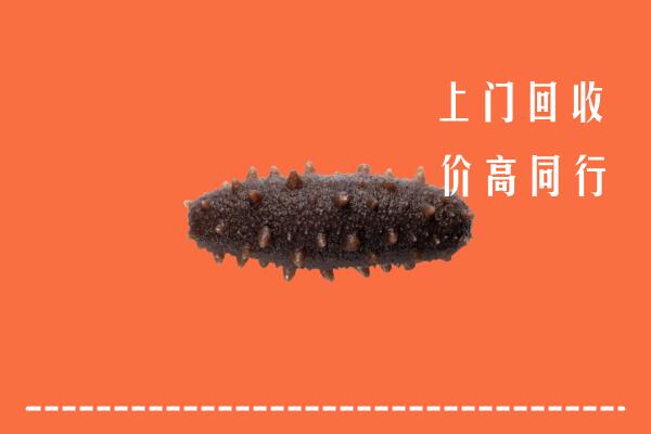 收购行情：重庆市回收海参