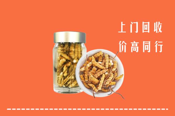 重庆市回收冬虫夏草