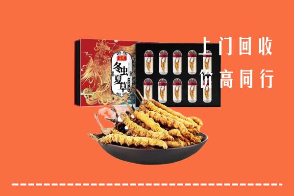 重庆市回收虫草